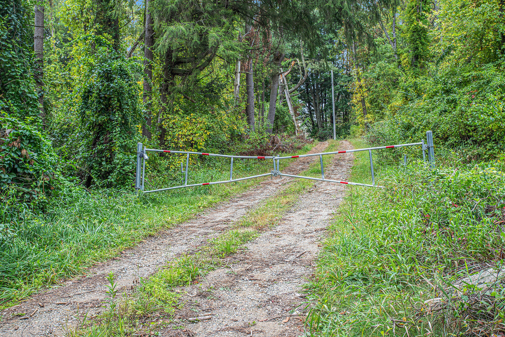 Battle Creek, Michigan 49014, United States, 3 Bedrooms Bedrooms, ,2 BathroomsBathrooms,Residential,Pending,215541