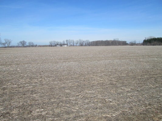 ADDRESS PRIVATE, BARODA, MI 49101 - Image c55b02c6102096df96cb4c4e584bc6f2/2477888109