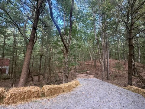 Photo of VL Lenox, Pentwater, MI 49449 (MLS # 25048494)