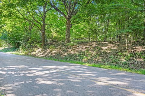 Photo of V/L 56th Avenue, Paw Paw, MI 49079 (MLS # 25048912)