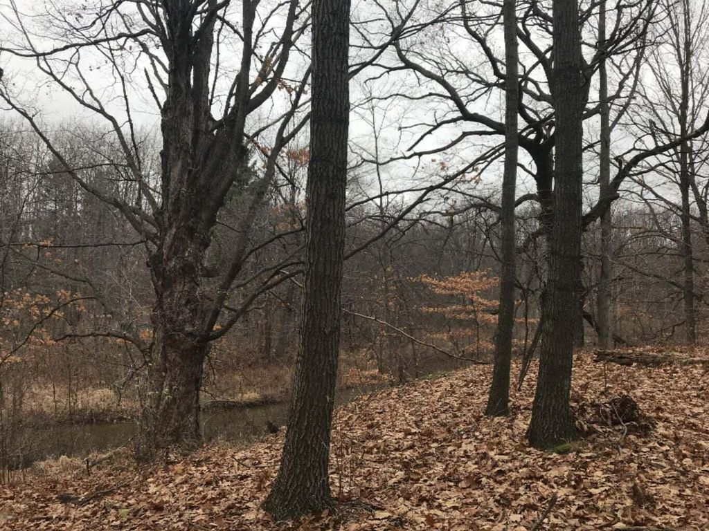 Photo of 12923 Riverview Drive, Gowen, MI 49326 (MLS # 26005241)