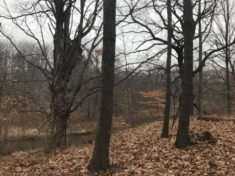 12923 Riverview Drive Gowen MI 49326