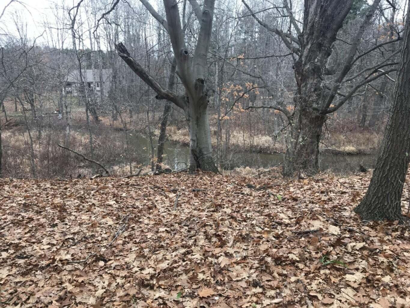 12923 Riverview Drive