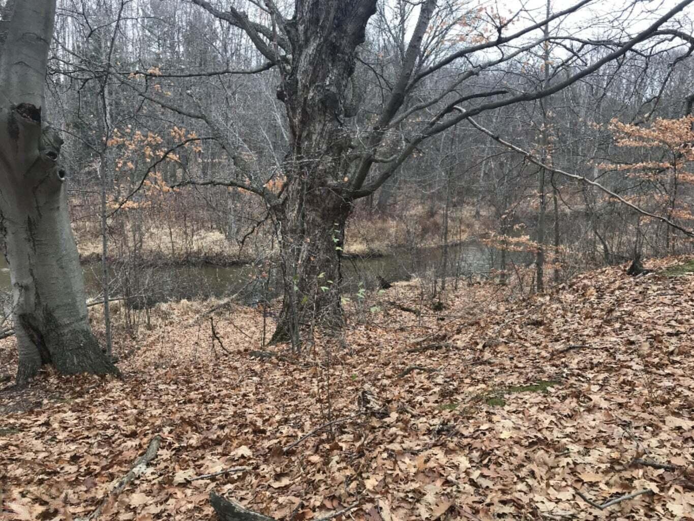 12923 Riverview Drive