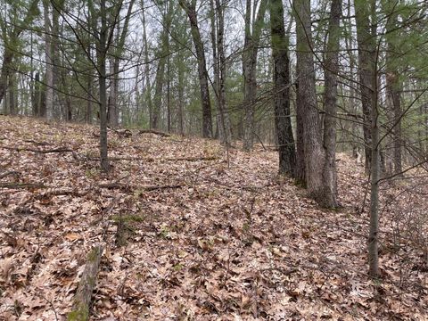 Photo of Parcel C Coates Hwy, Brethren, MI 49619 (MLS # 26019412)