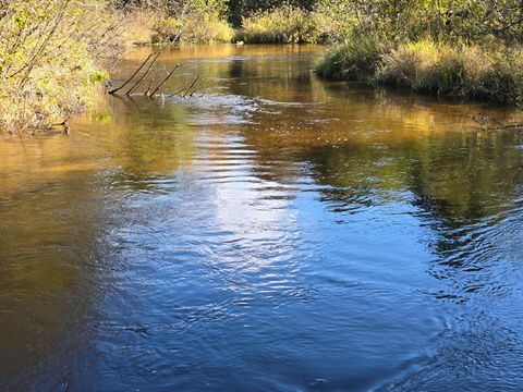 Photo of 10652 N River Road, Irons, MI 49644 (MLS # 25055019)