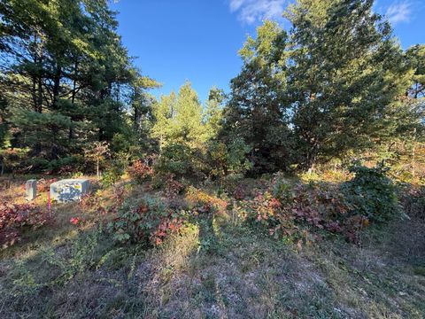 Photo of 1242 Sydney Street #33, Whitehall, MI 49461 (MLS # 25052051)