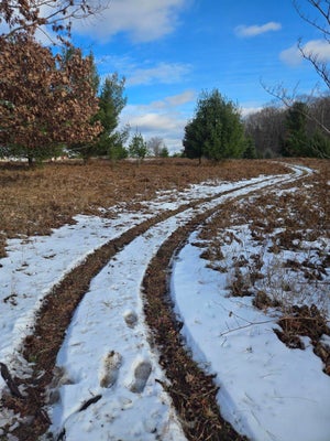 LOT 895 LAKE MIRAMICHI DRIVE, EVART, MI 49631 - Image c6aee9c11ea2fd1b3bfa685b3b18167f/3118310048