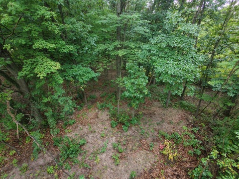 Photo for 12998 Bowen Lake Drive