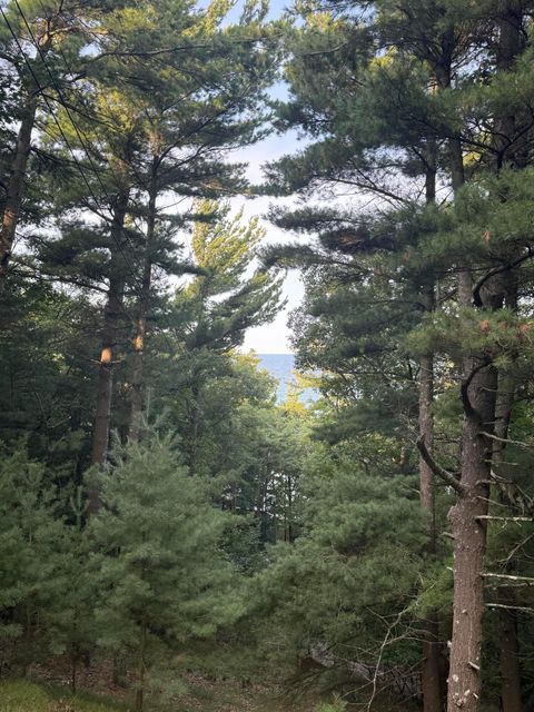 Photo of Lot G Hemlock Trail, Shelby, MI 49455 (MLS # 25042905)