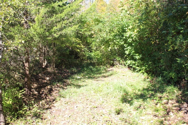 VACANT E CLARK ROAD, YPSILANTI, MI 48198 - Image c8266bee32a2a2866e3c72341c3bc536/749760669