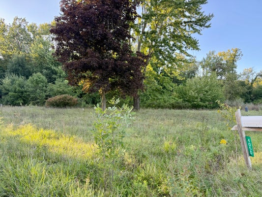 4050 DIVISION ST, WAYLAND, MI 49348 - Image c82a68b0bcd1d23652407ae391429ff1/614362425