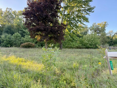 Photo for 4050 Division Street