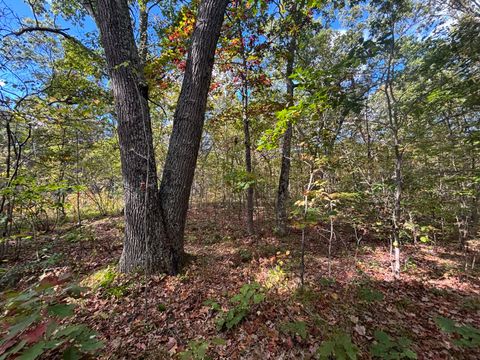 Photo of V/L 12A E Wilke Road, Rothbury, MI 49452 (MLS # 25022055)