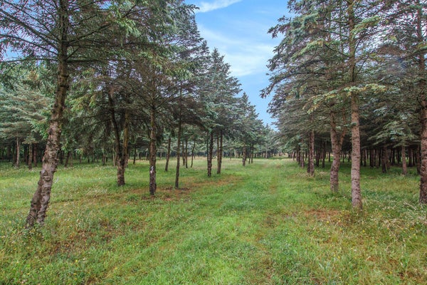 TESS CT, GRAND HAVEN, MI 49417 - Image c93d5acff669c34bfa8cd04bc7dcc6d9/2339660829