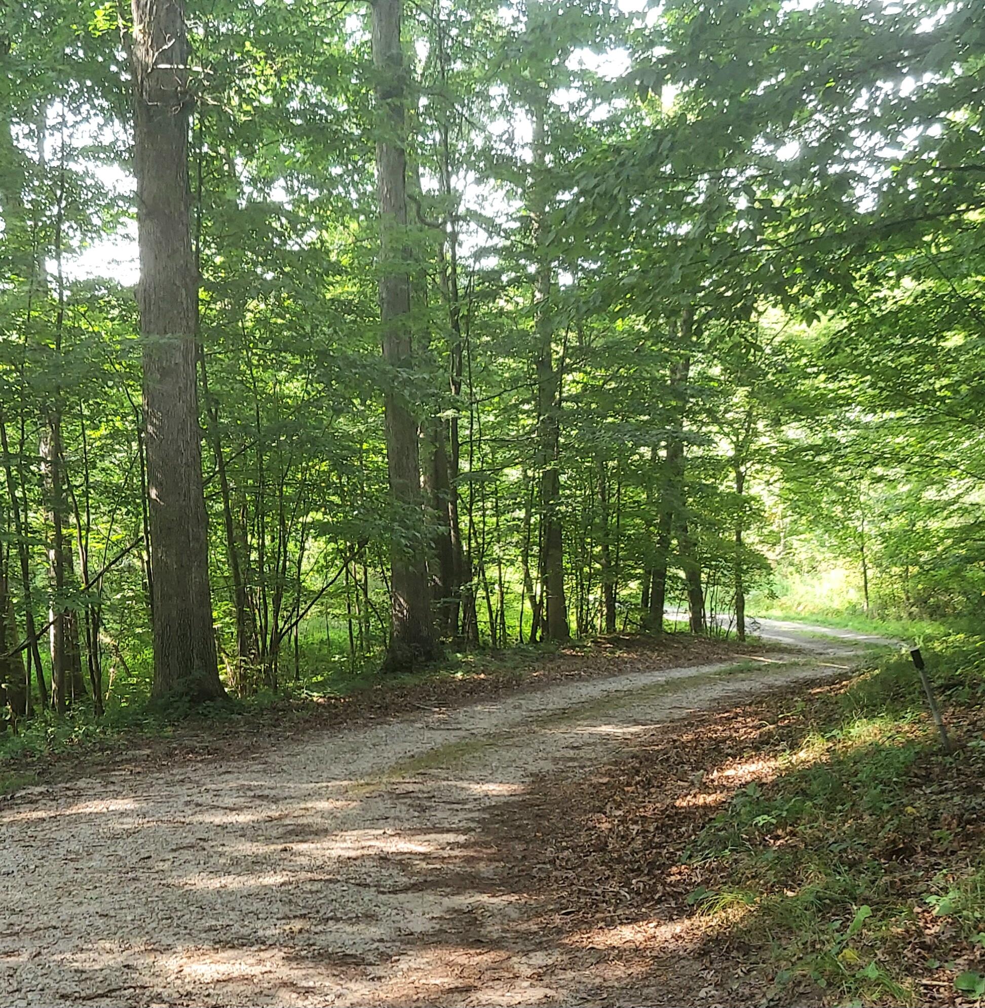 405 Buck Road