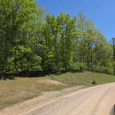 4796 90TH AVE, EVART, MI 49631 - Image ca12be097928c64908a6ca6f4e60c55c/914950350