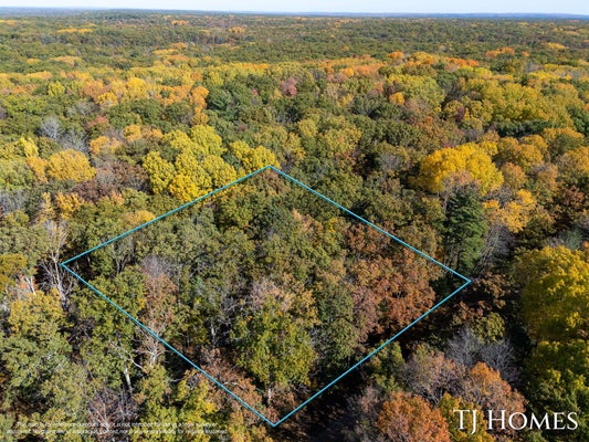 VL W FRANKLIN STREET, BROHMAN, MI 49312 - Image ca42e0a81fbdd3aac475de1a2bd6b2e9/2463439542