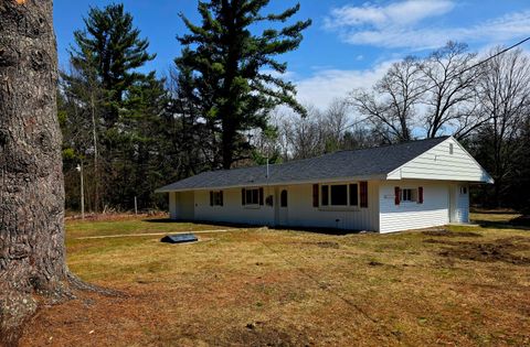 Photo of 3696 S Locust Avenue, Newaygo, MI 49337 (MLS # 26005644)