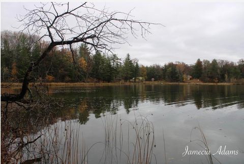 Photo of 02 S Paris, Idlewild, MI 49642 (MLS # 25024757)