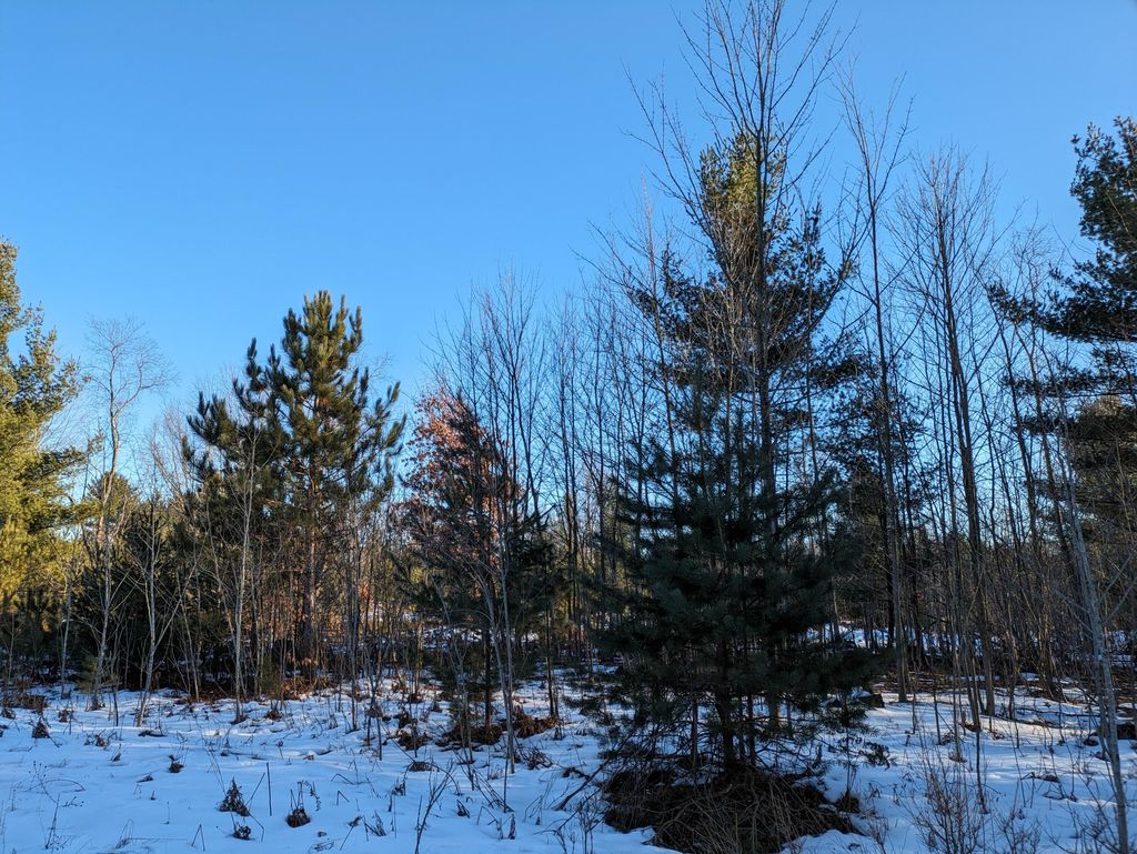 Photo of Bergstrom Drive, Kaleva, MI 49645 (MLS # 26004991)