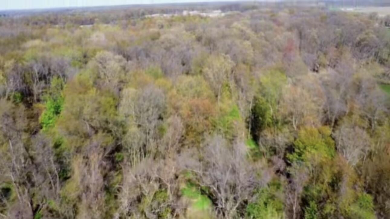 Centreville, Michigan 49032, United States, ,Land,Pending,4178