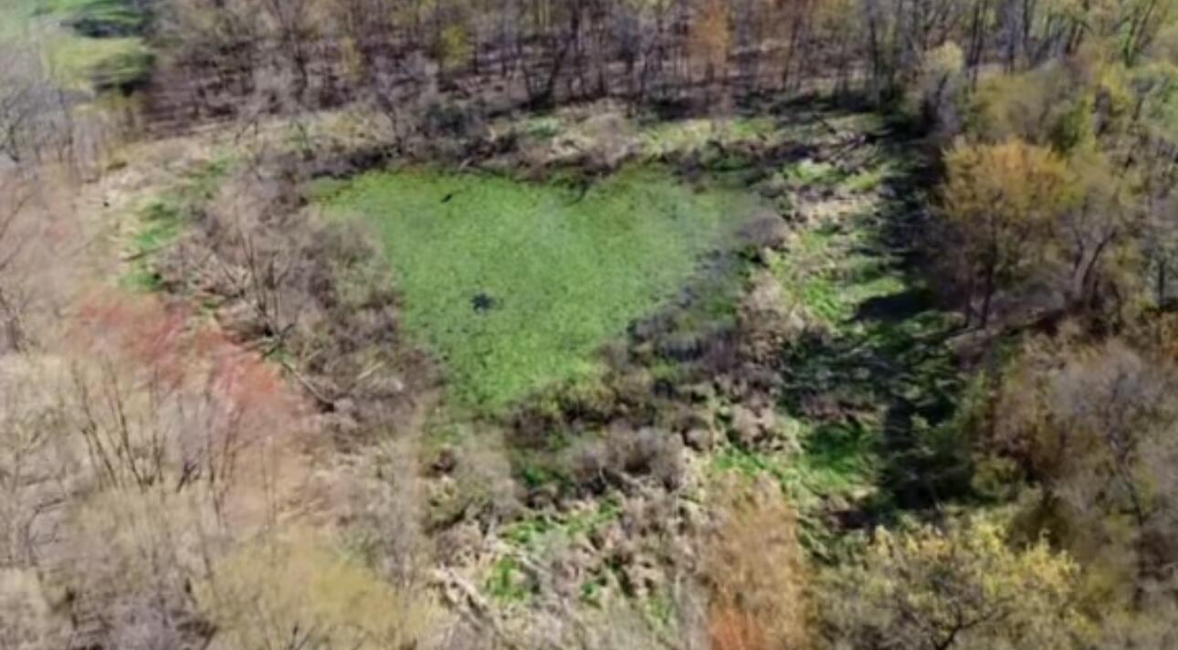 Centreville, Michigan 49032, United States, ,Land,Pending,4178