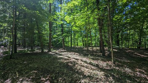 Photo of V/L E Kissing Oaks Trail #164, Custer, MI 49405 (MLS # 25051161)