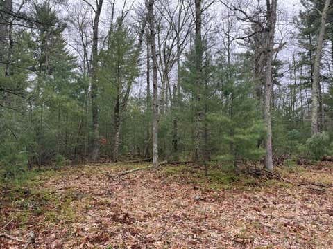 Photo of VL Freesoil Road, Irons, MI 49644 (MLS # 26021956)