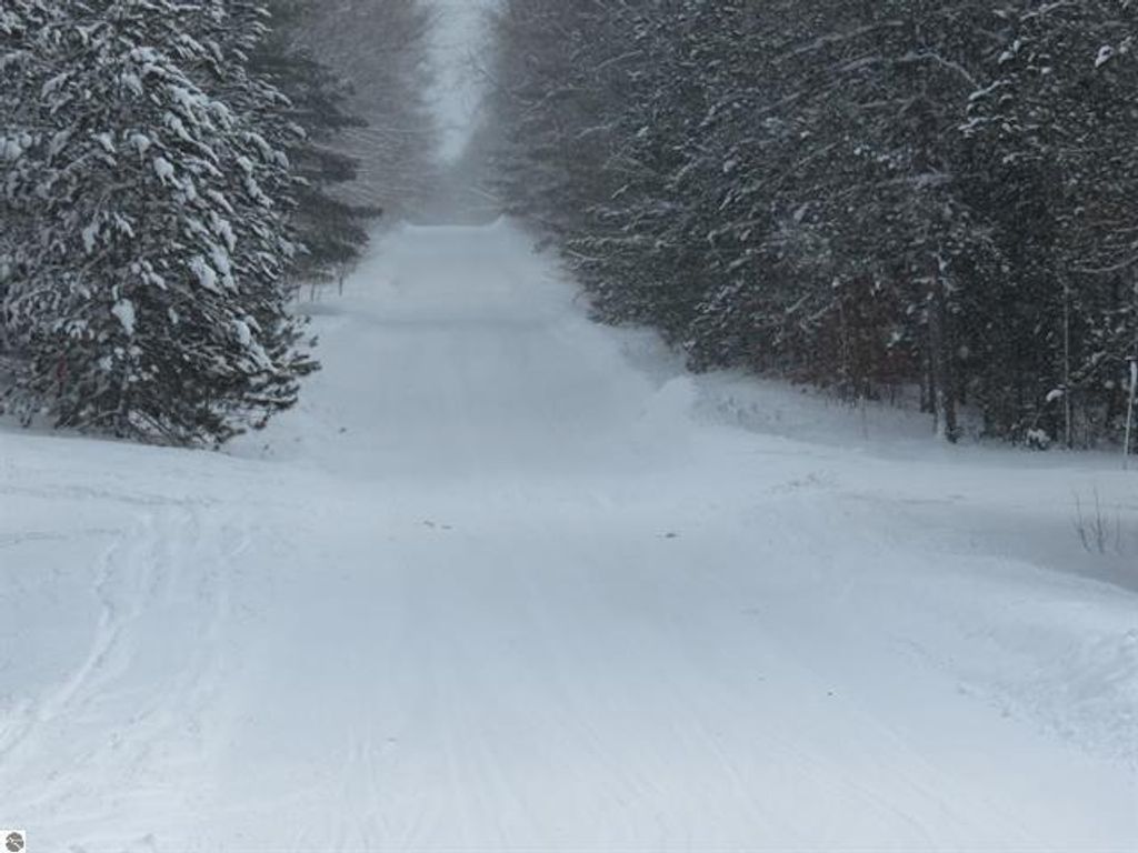 Photo of 0 W 38 Road, Harrietta, MI 49638 (MLS # 26003195)