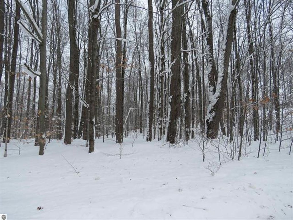 Photo of 0 W 38 Road, Harrietta, MI 49638 (MLS # 26003195)