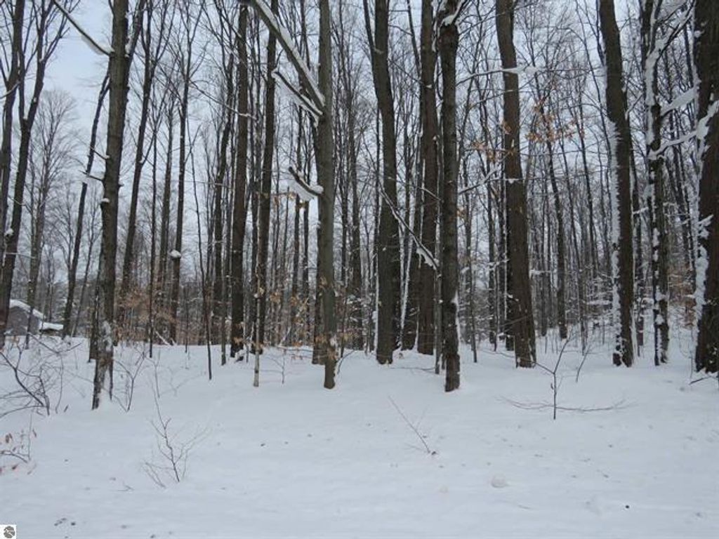 Photo of 0 W 38 Road, Harrietta, MI 49638 (MLS # 26003195)