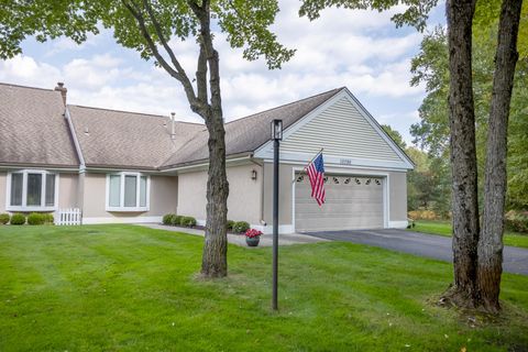10580 Trapper Lane Stanwood MI 49346