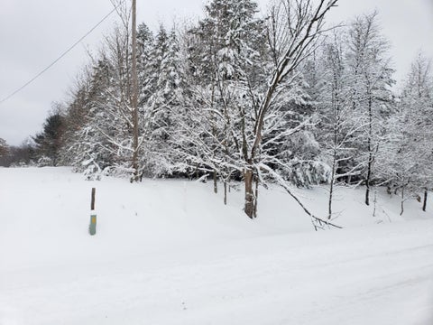 Photo of Chief Road, Kaleva, MI 49645 (MLS # 19059213)