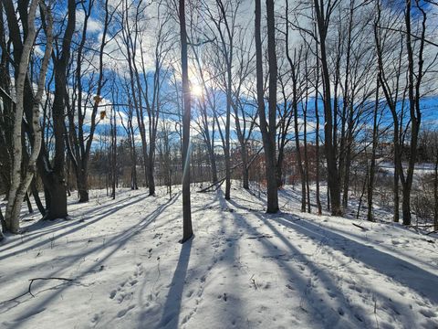 01 120th Ave Rodney MI 49342