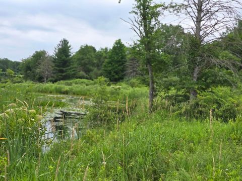 00-2 LAKE Road Barryton MI 49305