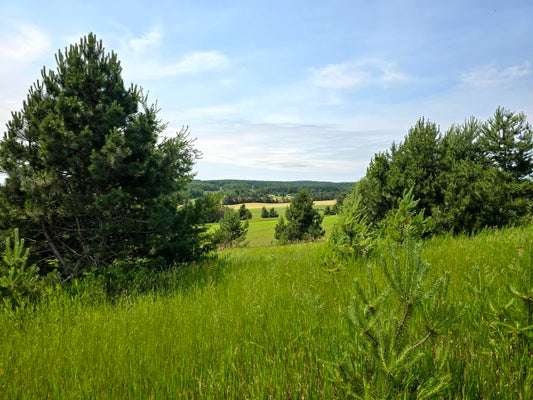 5850 DEER RUN TRL, HARBOR SPRINGS, MI 49740 - Image cee3004e08e41c912ca52e1eed95ff97/3626063274