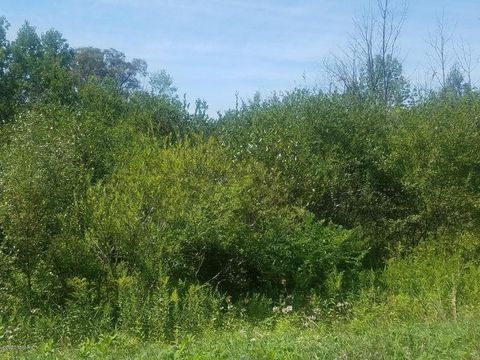 Photo of V/L S Marlene Street #Lot 17, Rothbury, MI 49452 (MLS # 26018449)