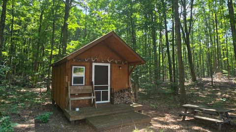 Photo of Erwin Road, Copemish, MI 49625 (MLS # 25019185)