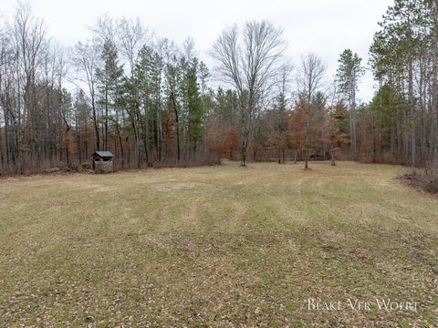 Photo of V/L 27A E 15 Mile Road, Bitely, MI 49309 (MLS # 26013230)