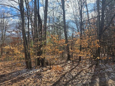 Photo of 3rd St, White Cloud, MI 49349 (MLS # 26009494)