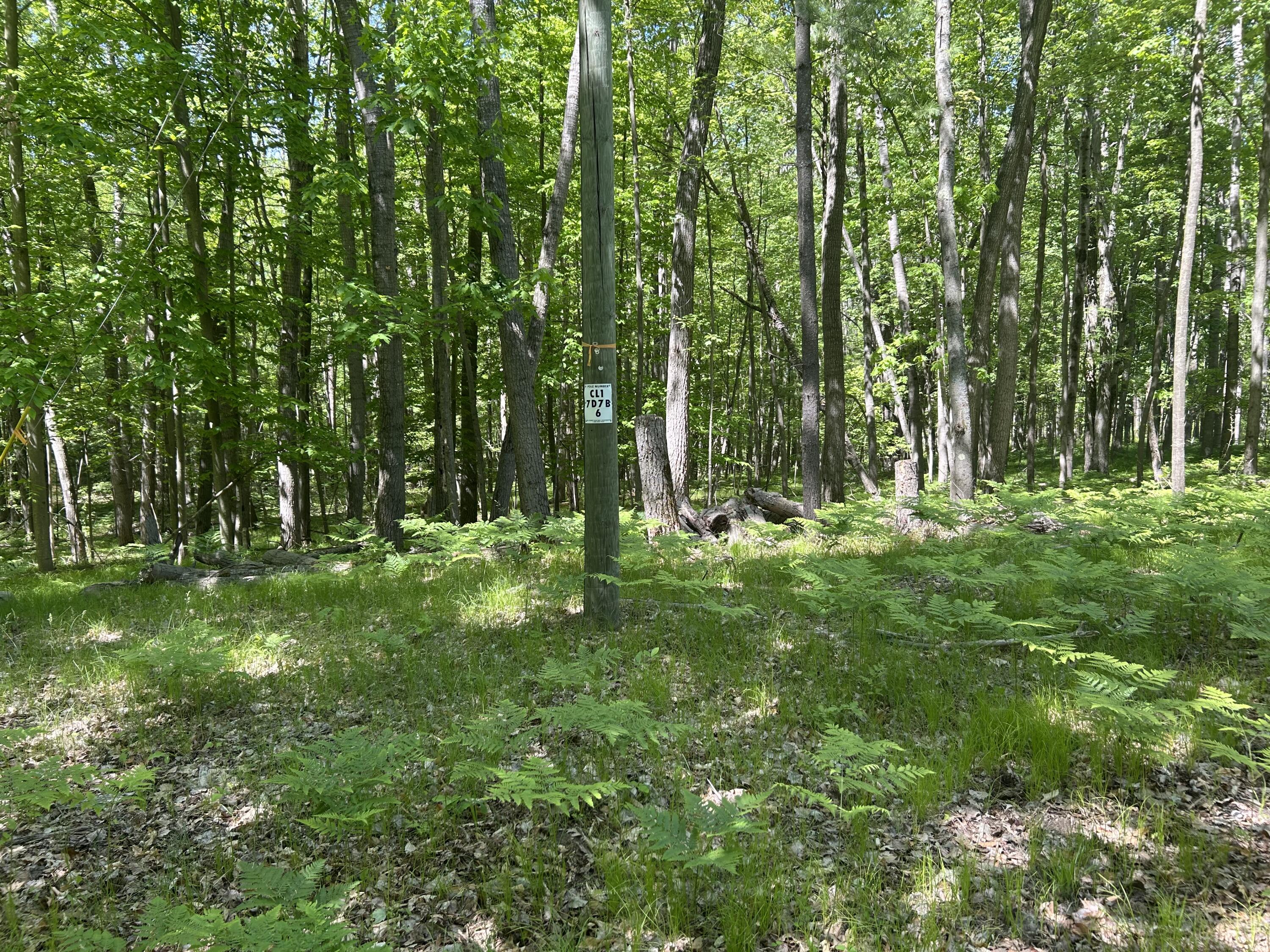 8297 Highland Trail
