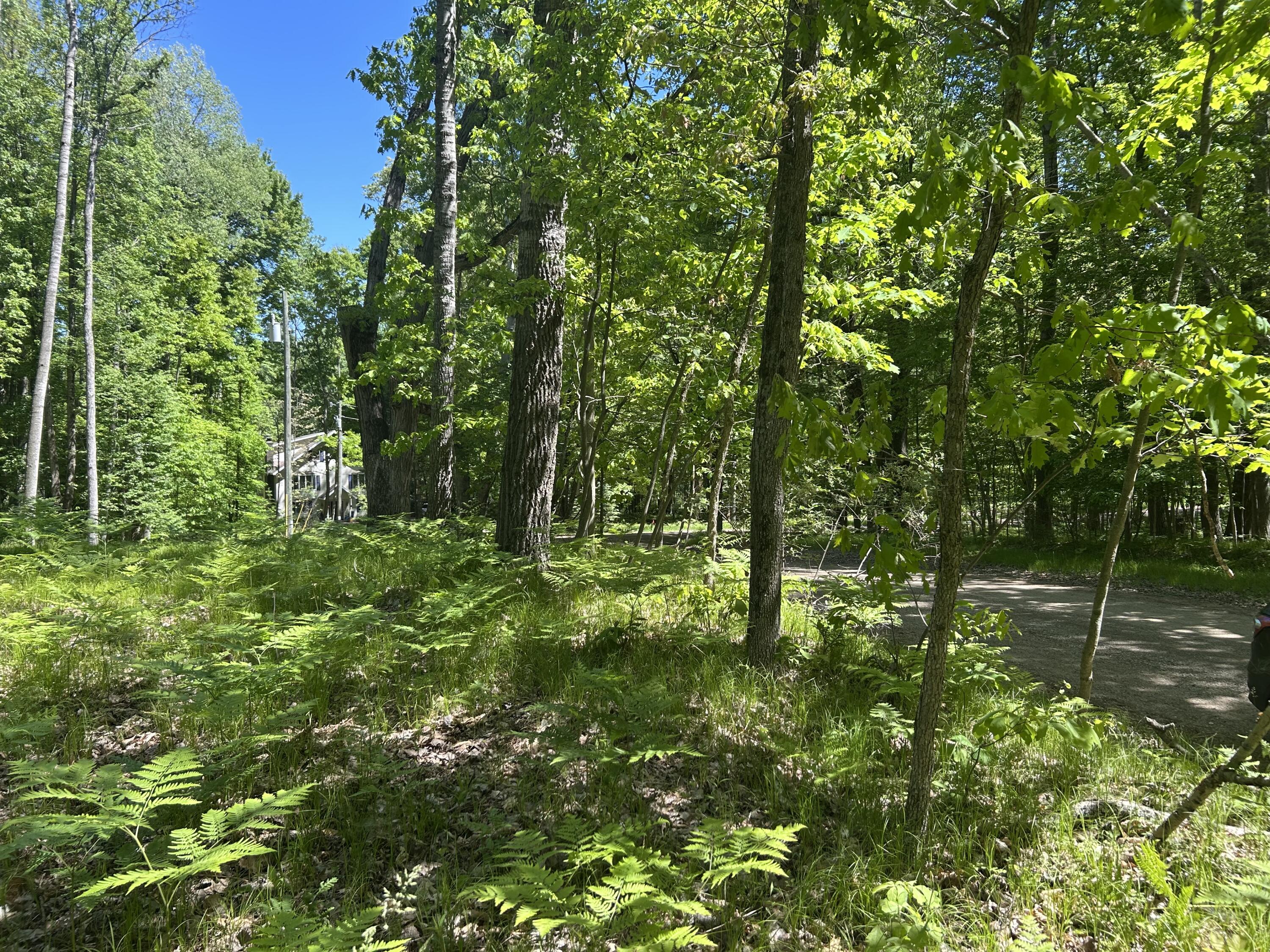 8297 Highland Trail