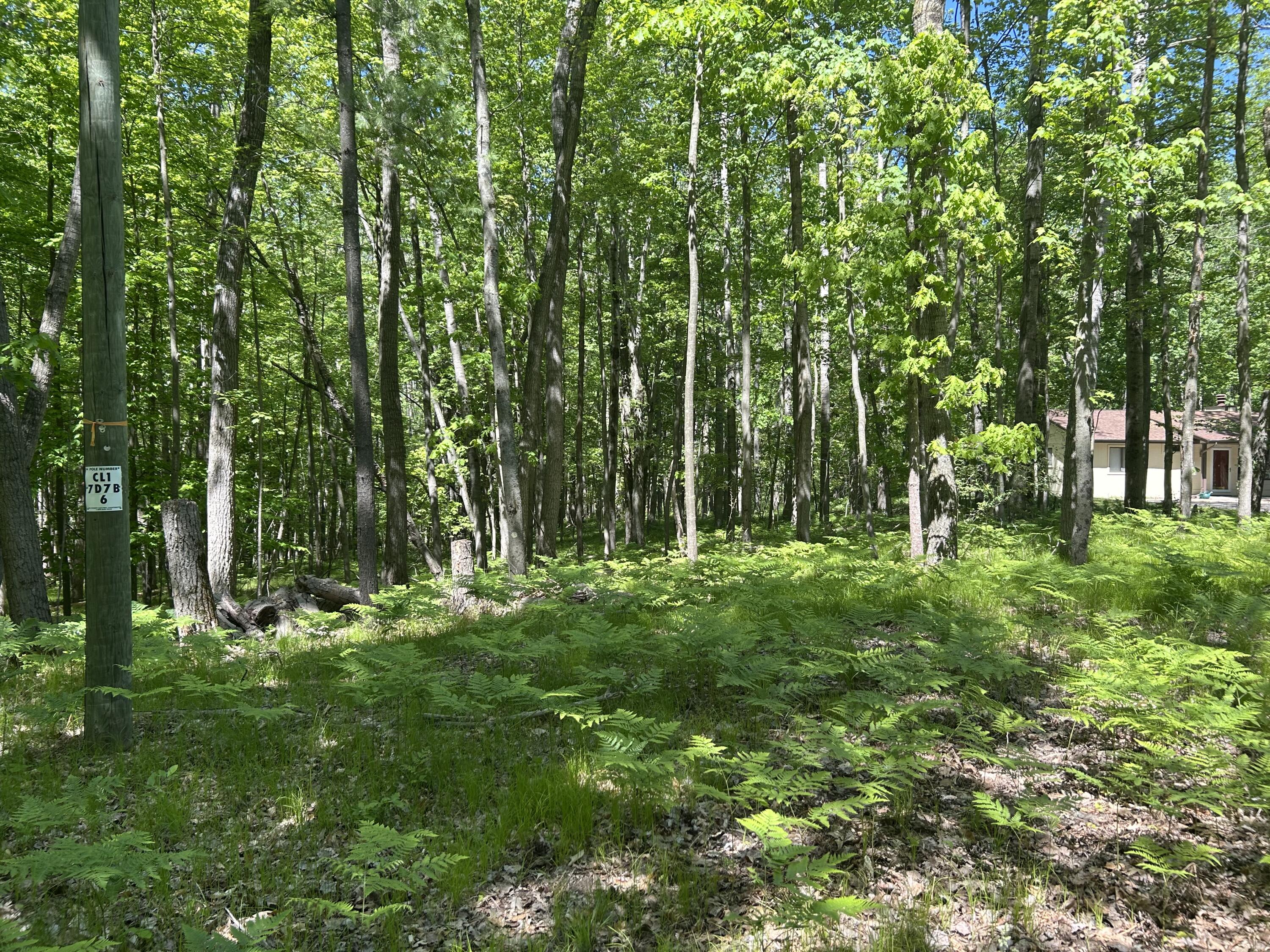 8297 Highland Trail