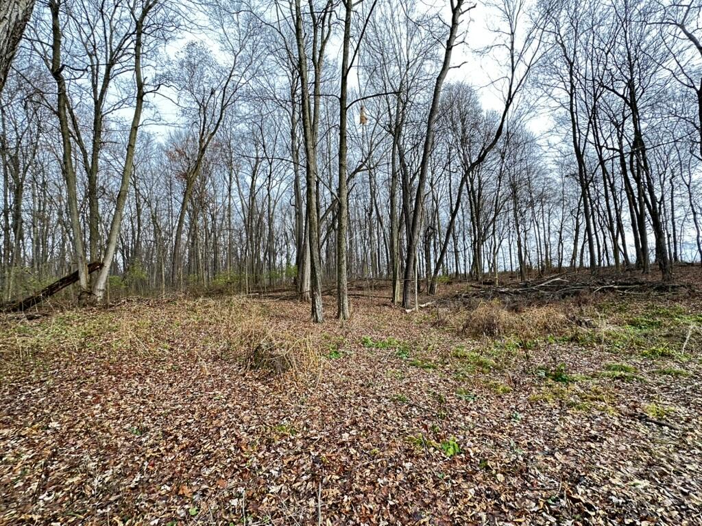 Richland, Michigan 49083, United States, ,Land,Active,28840