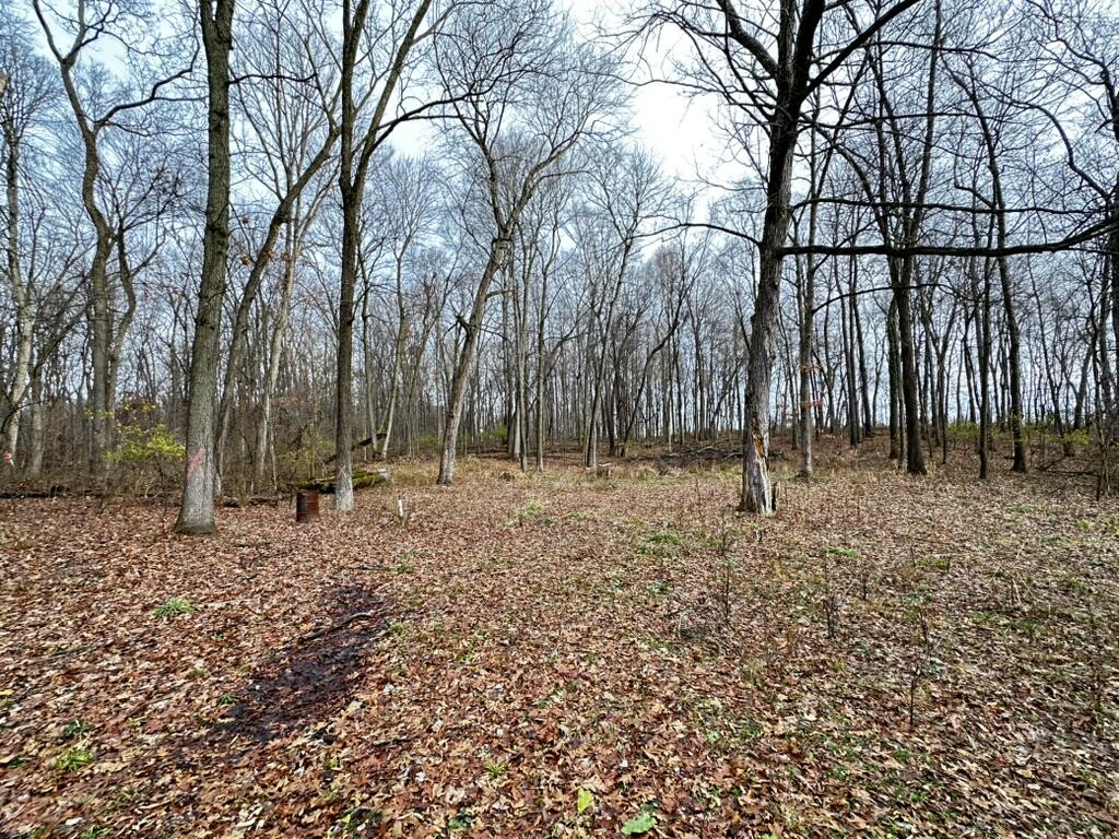 Richland, Michigan 49083, United States, ,Land,Active,28840