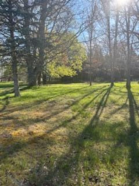 7668 Bay Meadow Canadian Lakes MI 49346