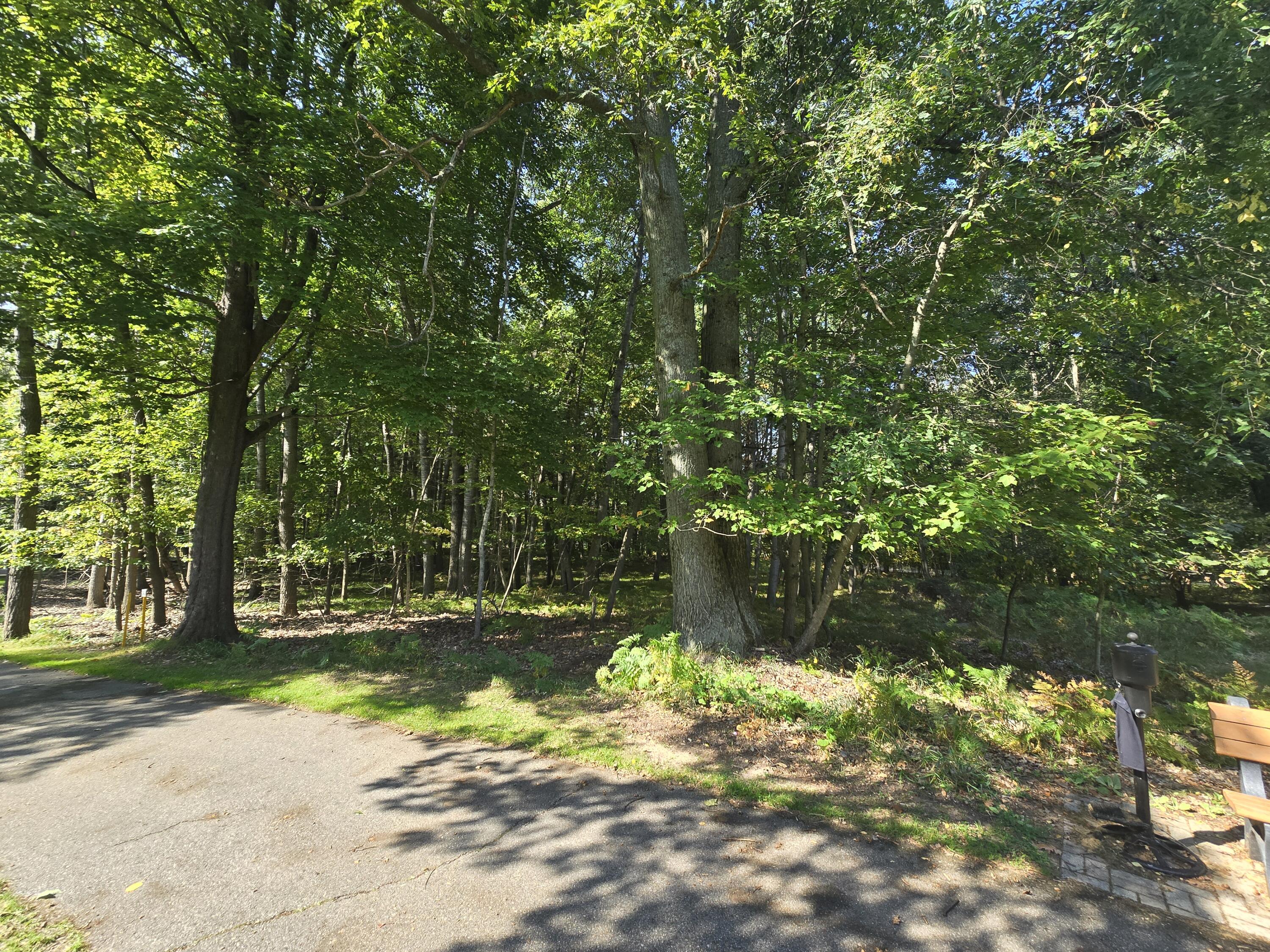 6728 Beechnut Ridge