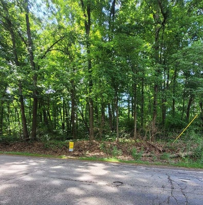 11839 VICARY RD, JEROME, MI 49249 - Image d08090d0cde727ab0dae11bfc1036ef2/1522267718