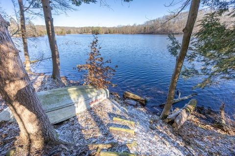 8770 N Island Drive Canadian Lakes MI 49346